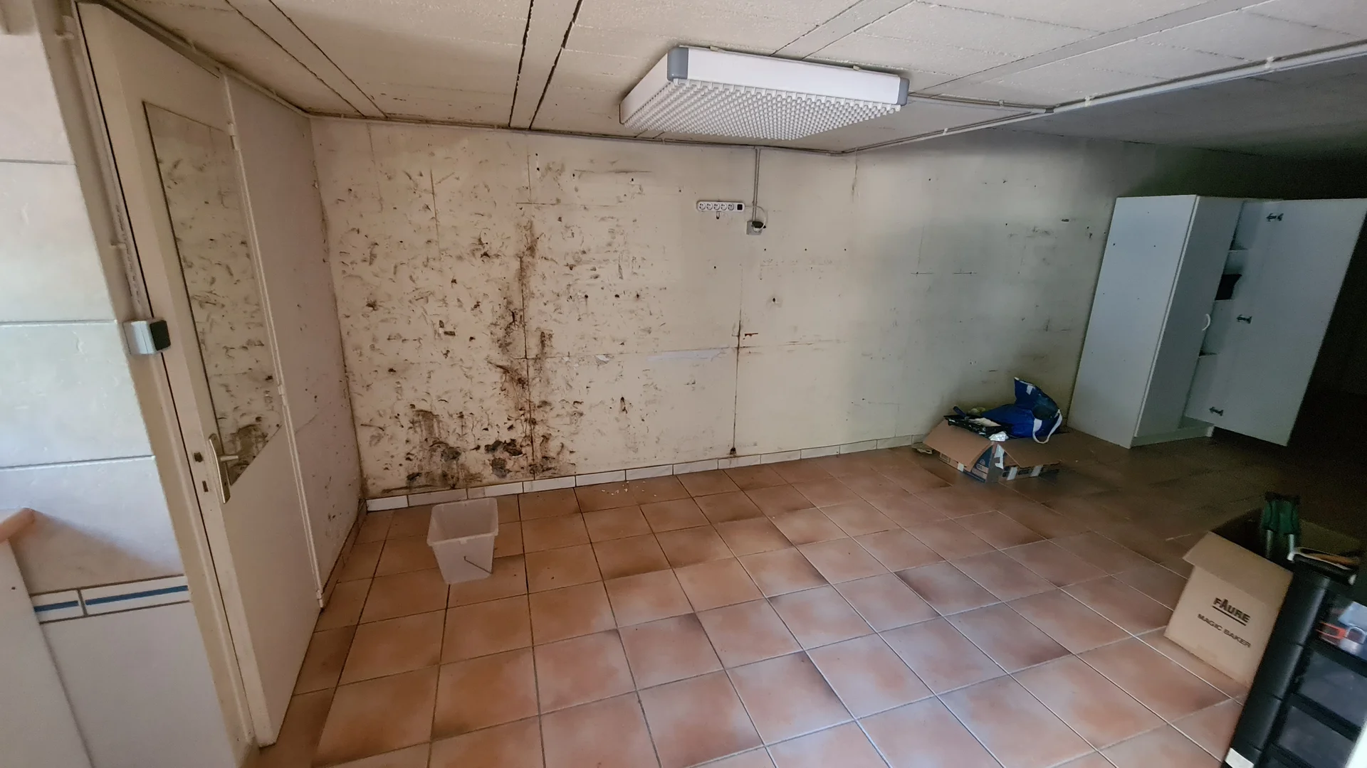 Solutions professionnelles pour expert humidité